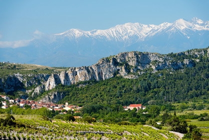 Tautavel