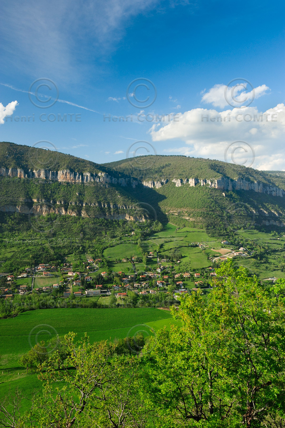 Vallée de la Dourbie