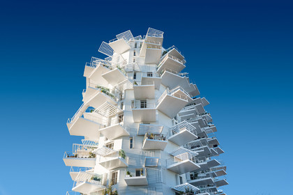 L'Arbre Blanc