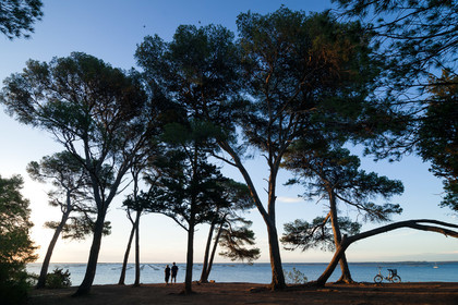 Etang de Thau