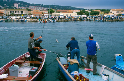 Pêche à la daurade
