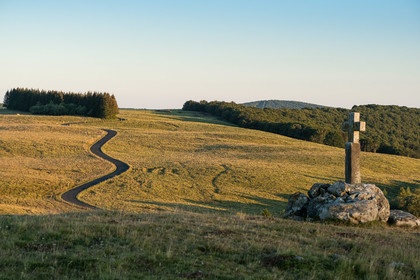 Aubrac