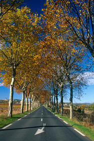 Route