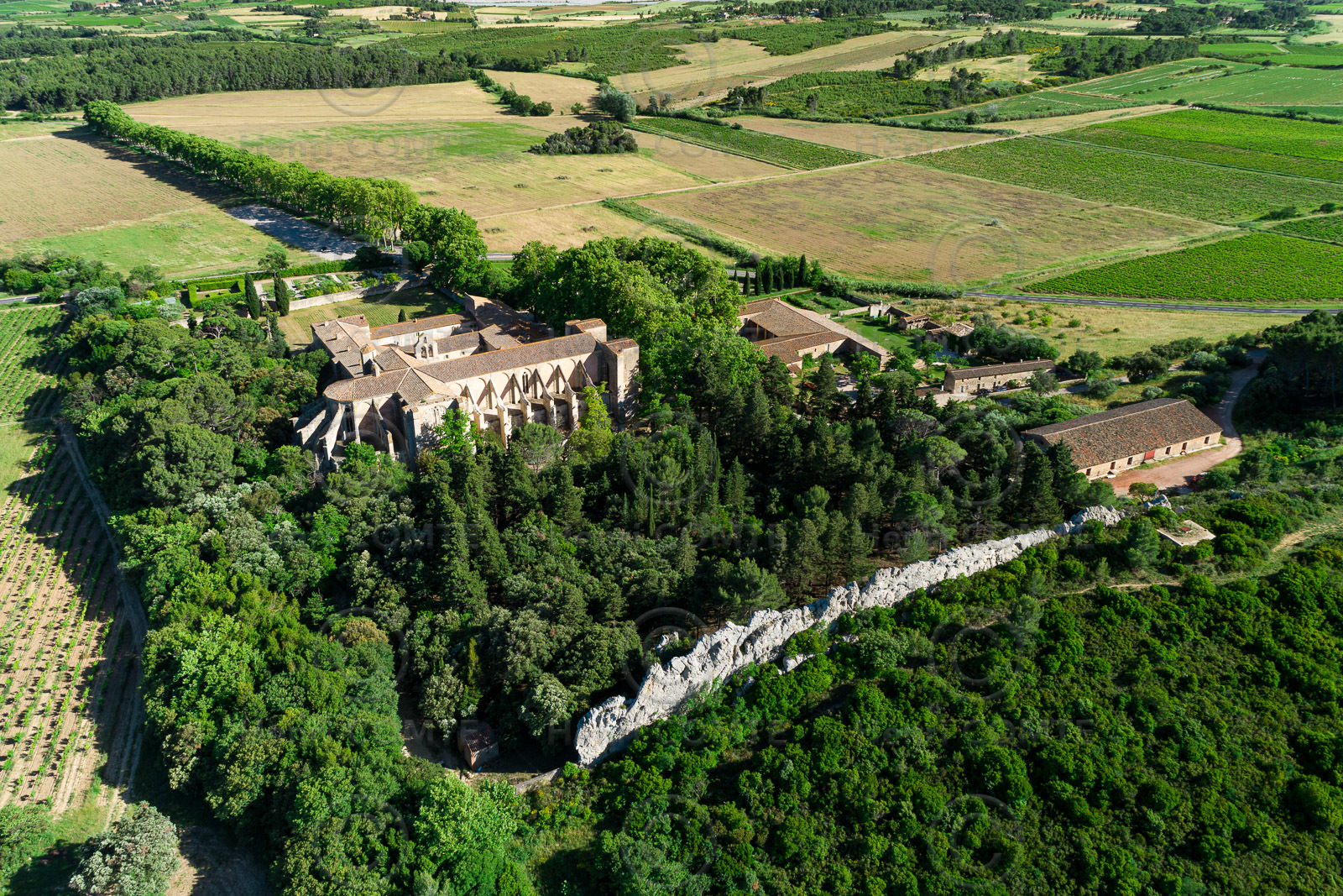 Abbaye de Valmagne