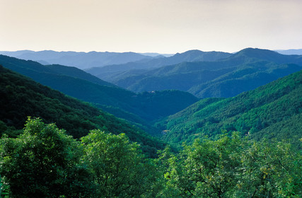 Col du Mercou