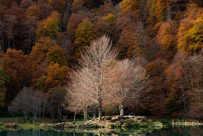 Lac de Betmale