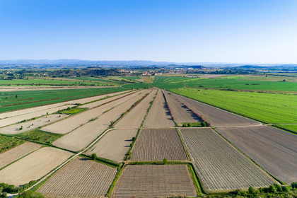 Etang de Montady