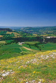 Causse- Lozère