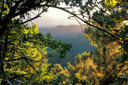 Cévennes