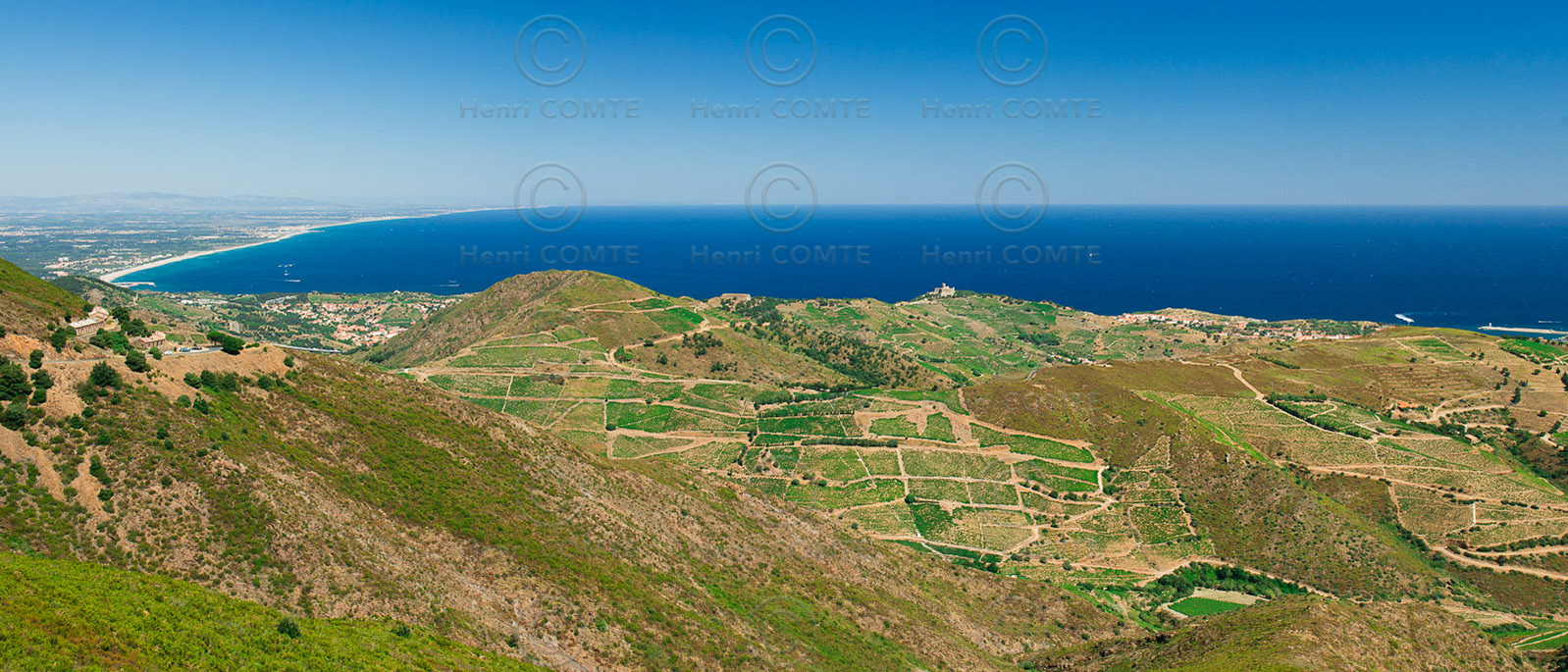 Vignoble du Roussillon