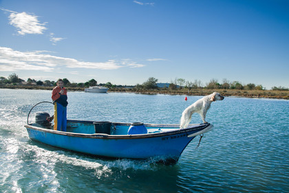 Pêche étang de thau