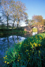 Canal du midi