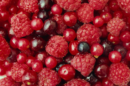 Fruits rouges