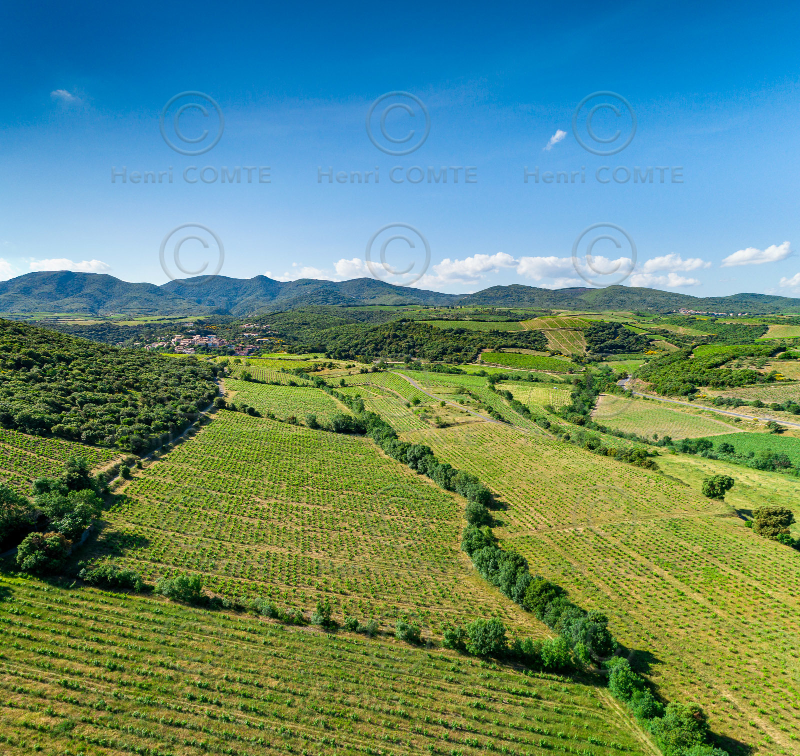 Vignoble de Faugères