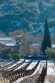 Vignoble du Salagou