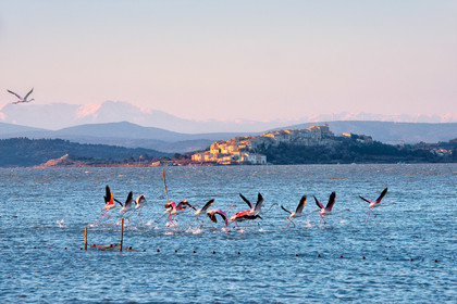 Etang de Bages