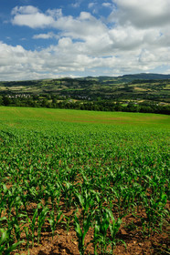 Causse de Séverac