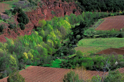 Ruffes du Salagou