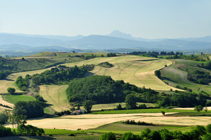 Paysage du Lauragais
