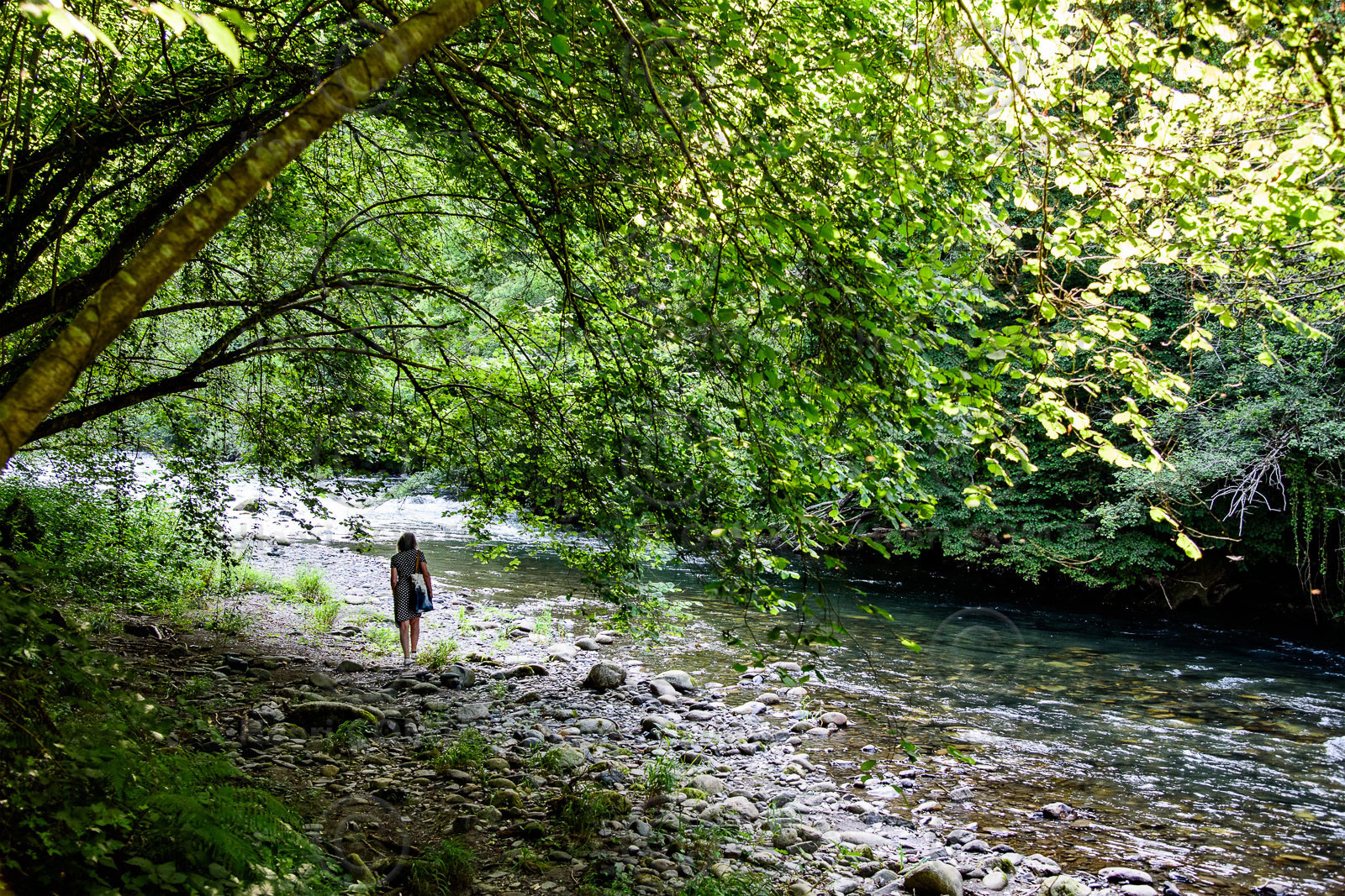 Promenade sur les berges du Lez
