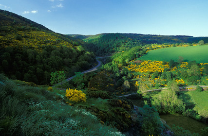 Paysage de Lozère