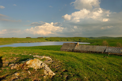 L'Aubrac