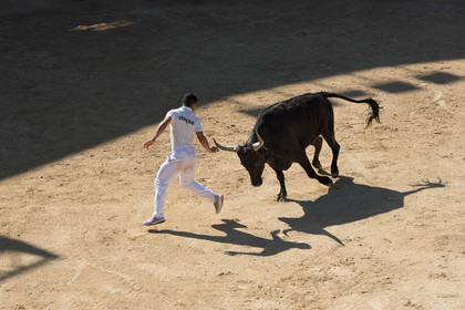 Course camarguaise