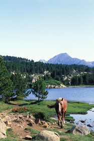 Etang du Carlit