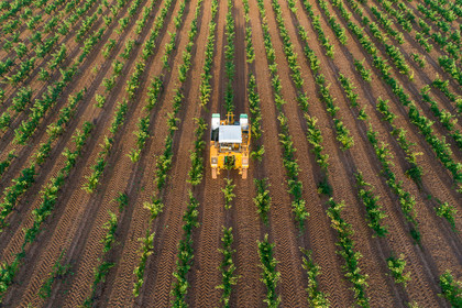 Vendange à la machine
