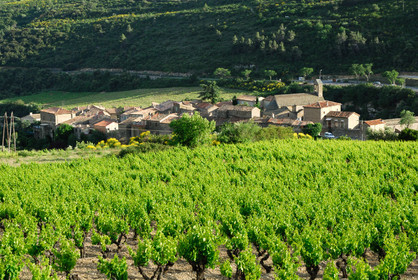 Minerve