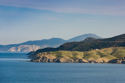 Côte des Alberes