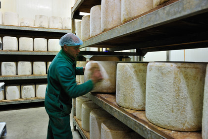 Fromage de Laguiole