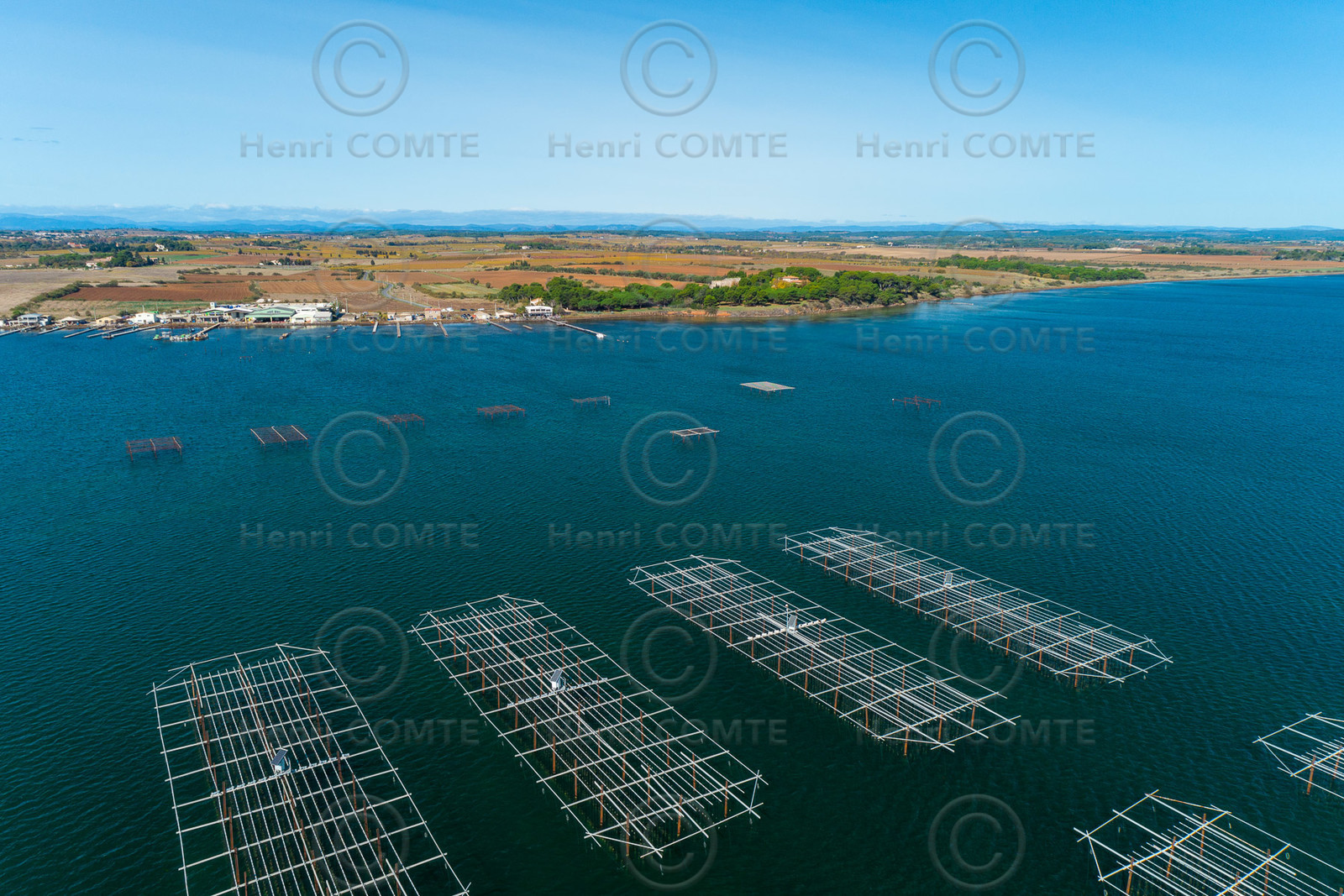 Ostreiculture - Etang de thau