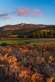 Montpeyroux