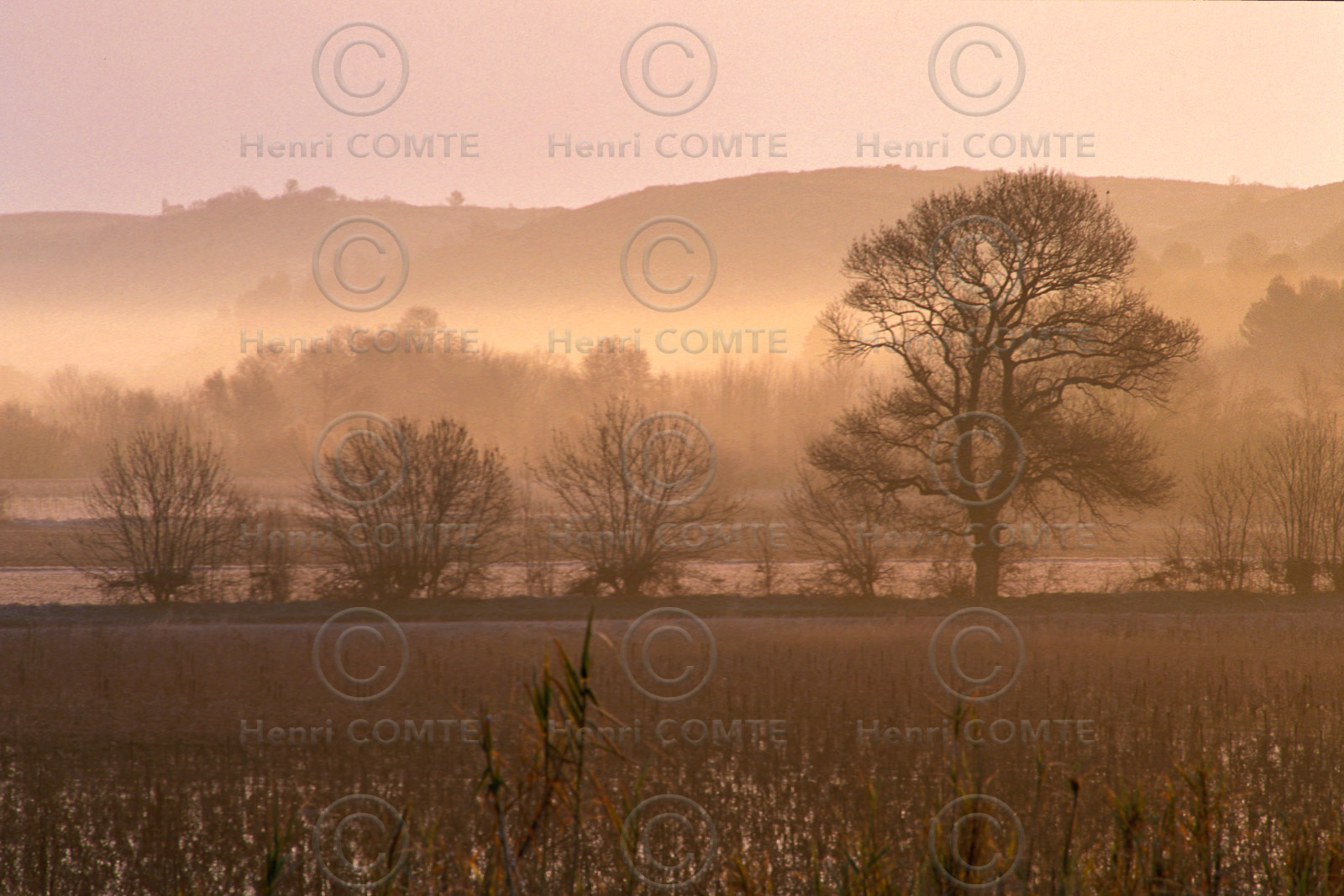 Plaine de l'Hérault