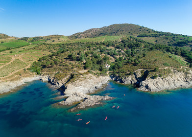 Anse de Paulilles