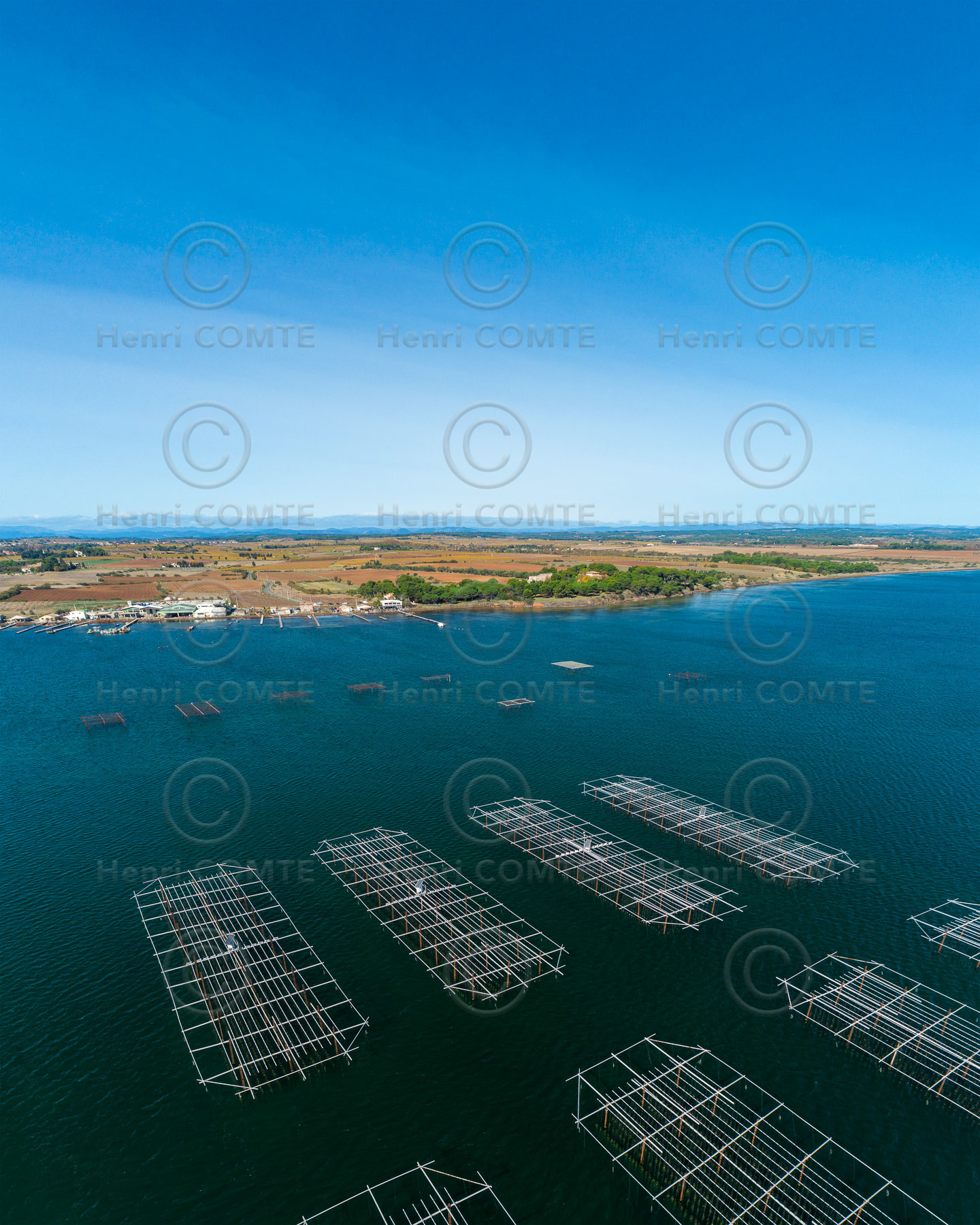 Ostreiculture - Etang de thau