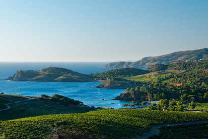 Anse de Paulilles