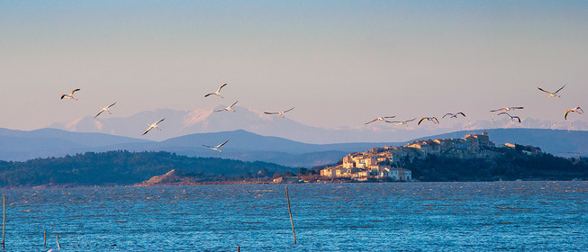 Etang de Bages