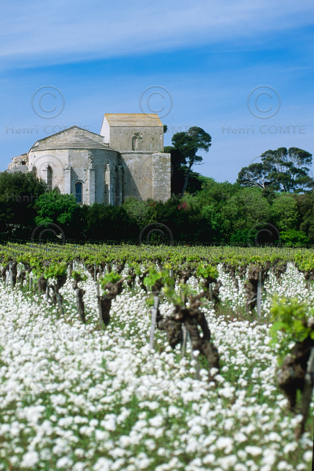 Cathédrale de Maguelone