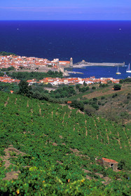 Collioure
