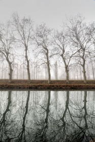 Canal dans la brume