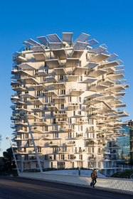L'Arbre Blanc