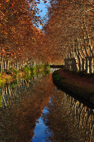 Le canal du Midi