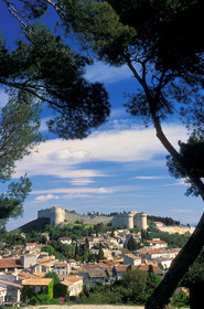 Villeneuve les Avignons