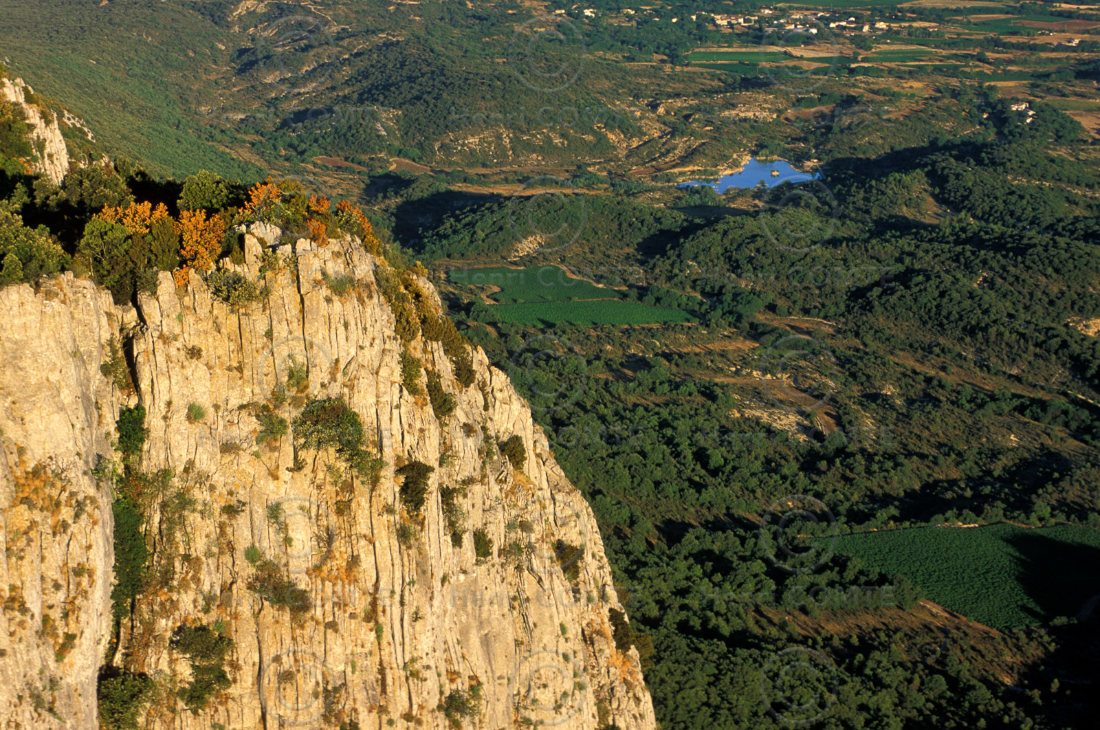 Pic Saint Loup