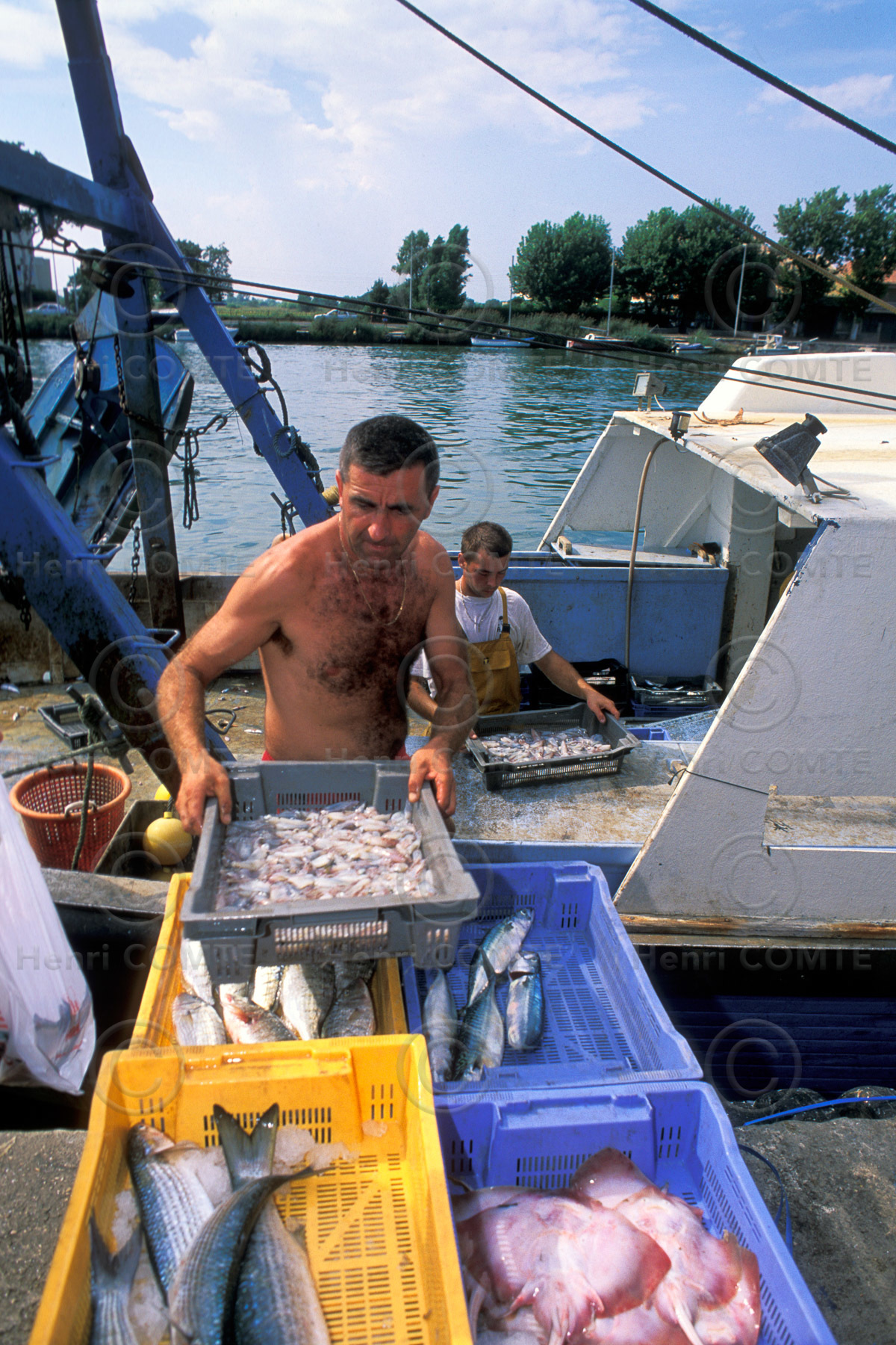 Pêche dans l'Hérault