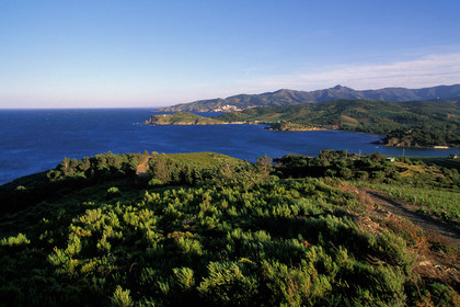 Côte vermeille