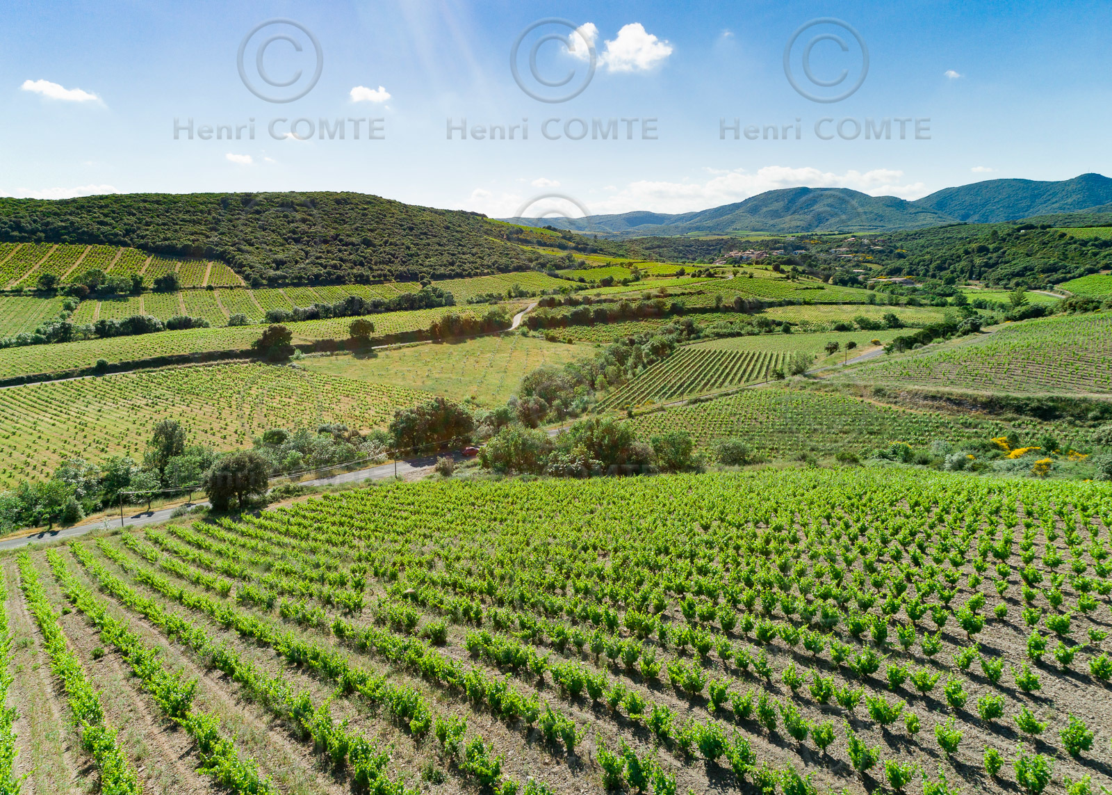 Vignoble de Faugères