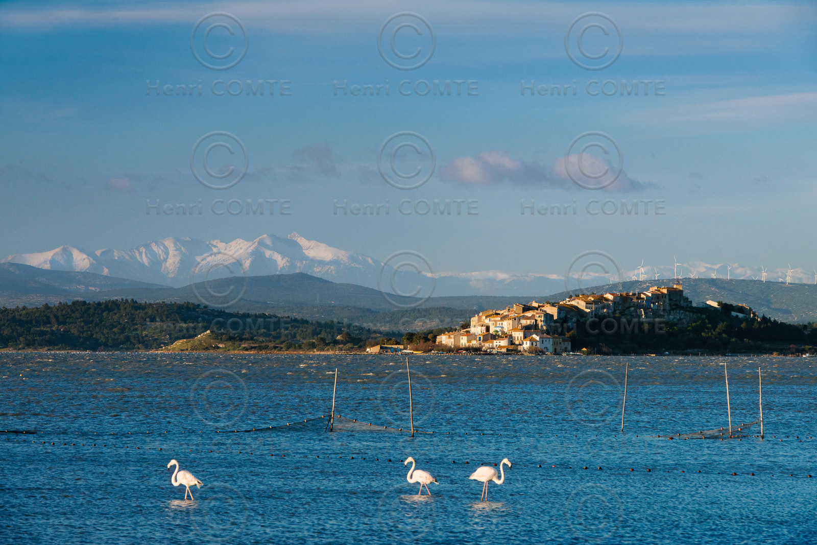 Etang de Bages Sigean